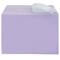 JAM Paper 5.063" x 7.188" Cello Sleeves with Self Adhesive Closures, 100ct.